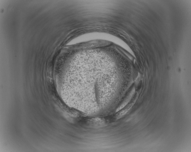 X0000075920421200610062212