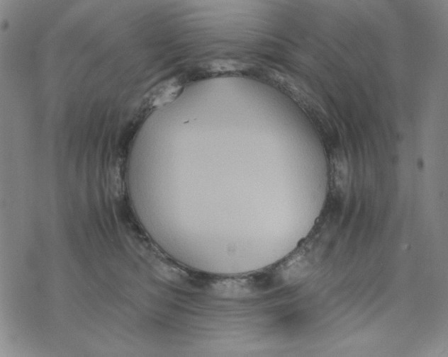 X0000075920422200610062212