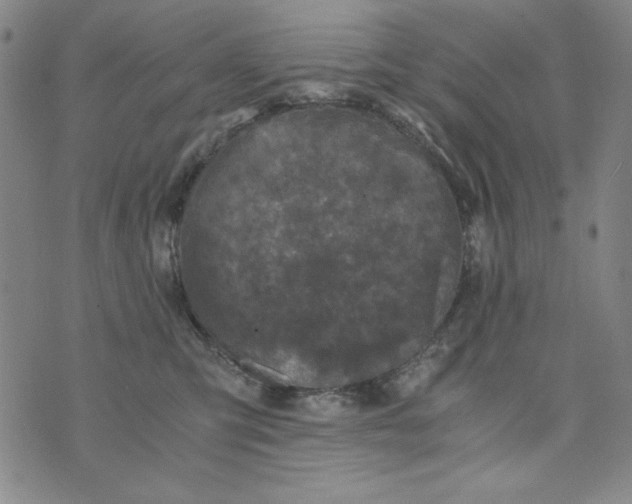 X0000075920423200610062212