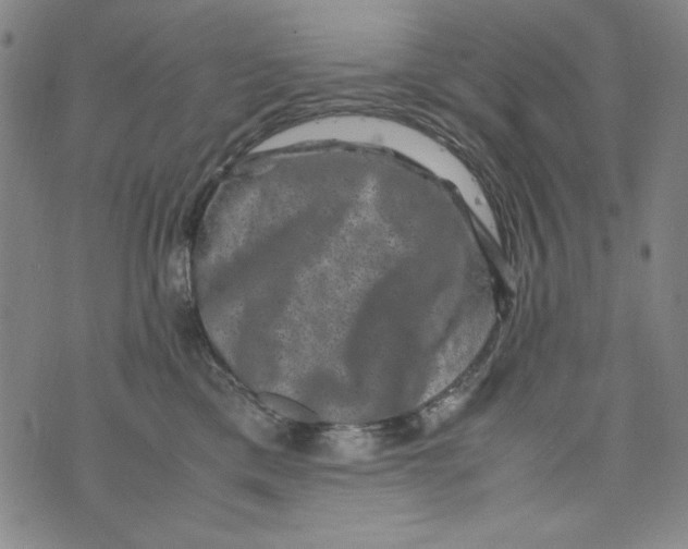 X0000075920425200610062212