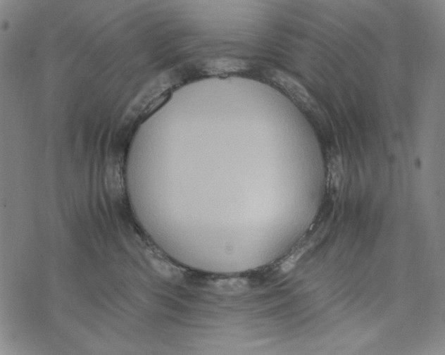 X0000075920426200610062212