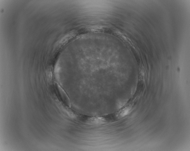 X0000075920427200610062212