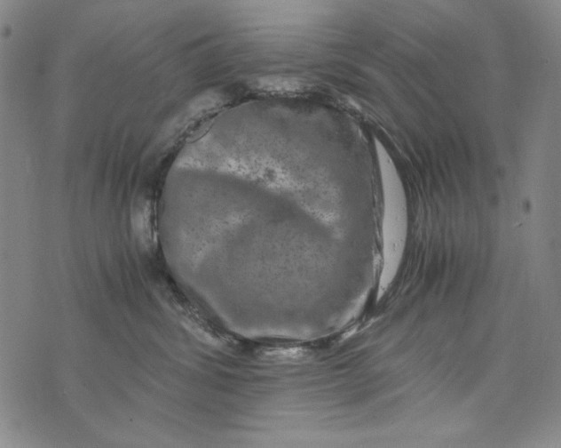 X0000075920428200610062212