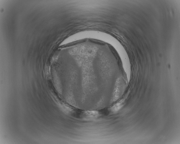 X0000075920429200610062212