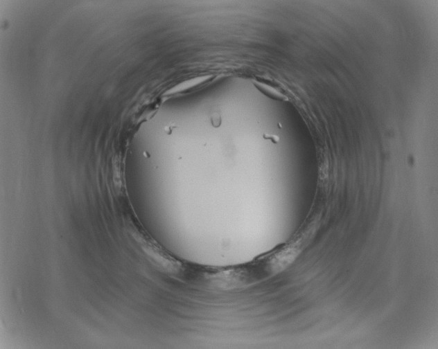 X0000075920430200610062212