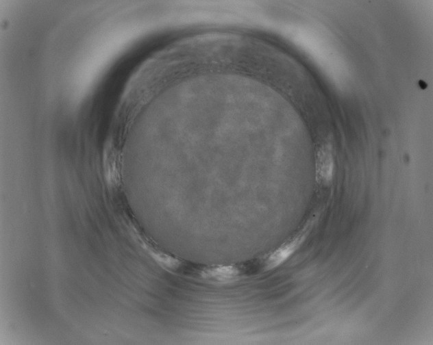 X0000075920431200610062212