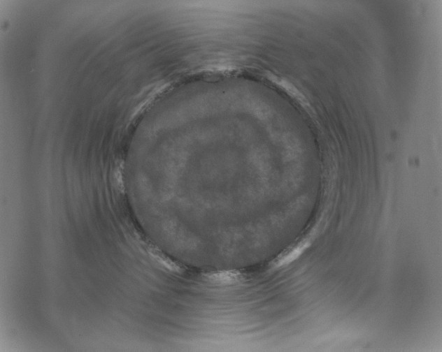 X0000075920432200610062212