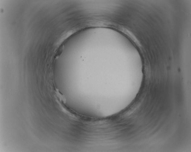 X0000075920433200610062211