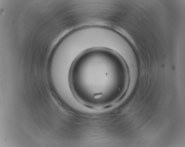 X0000075920436200610062211