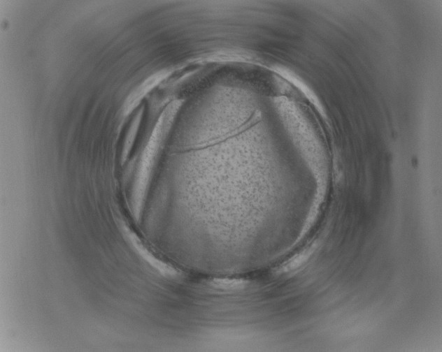 X0000075920437200610062211