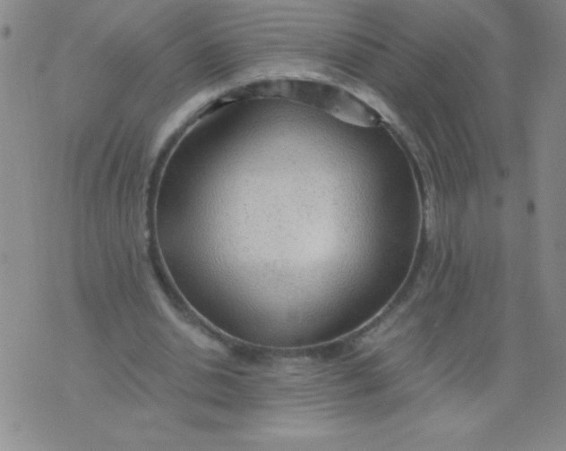 X0000075920438200610062211