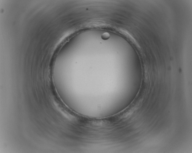 X0000075920439200610062211