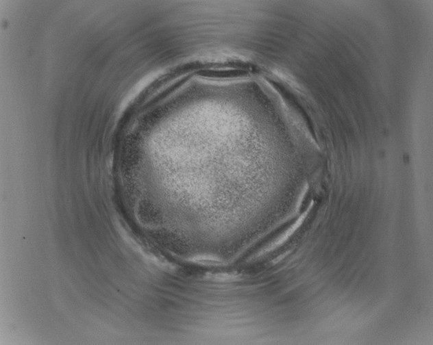 X0000075920440200610062211