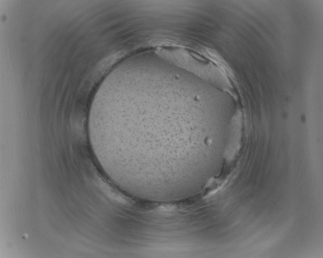 X0000075920441200610062211