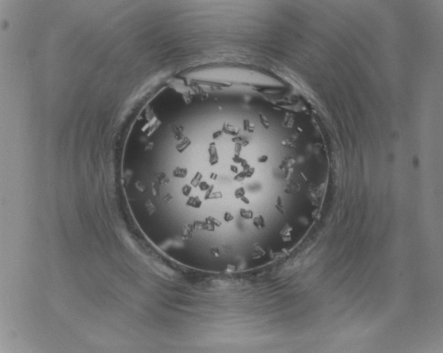 X0000075920442200610062212