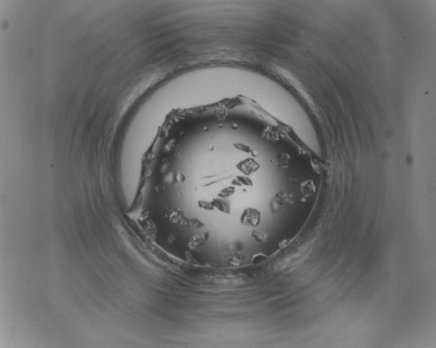 X0000075920443200610062212