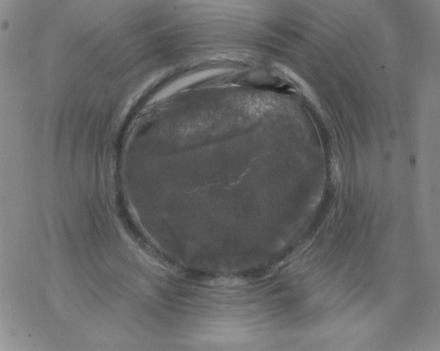 X0000075920444200610062212