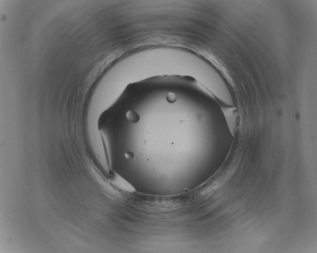 X0000075920445200610062212