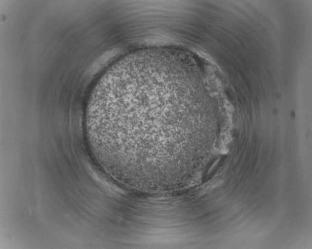 X0000075920446200610062212