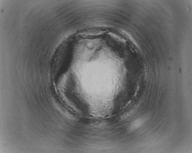 X0000075920447200610062212