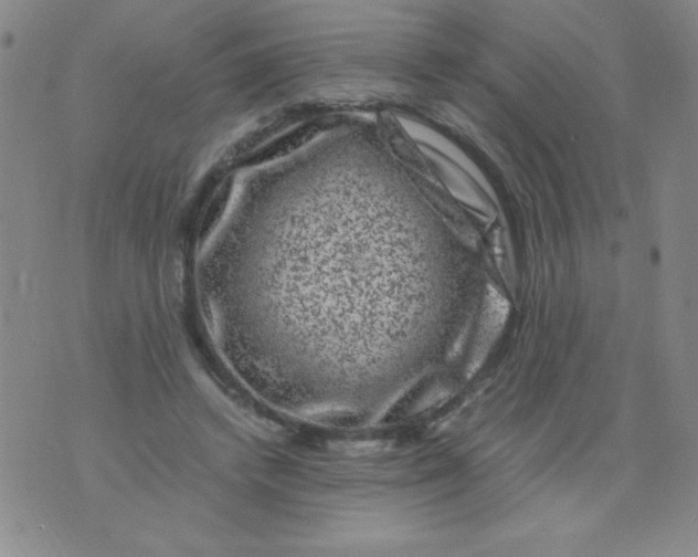 X0000075920448200610062212