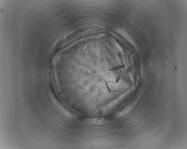 X0000075920449200610062212