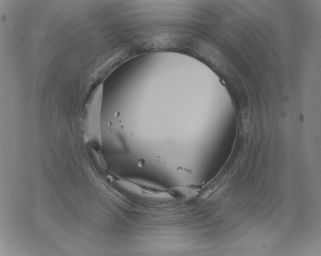 X0000075920450200610062212