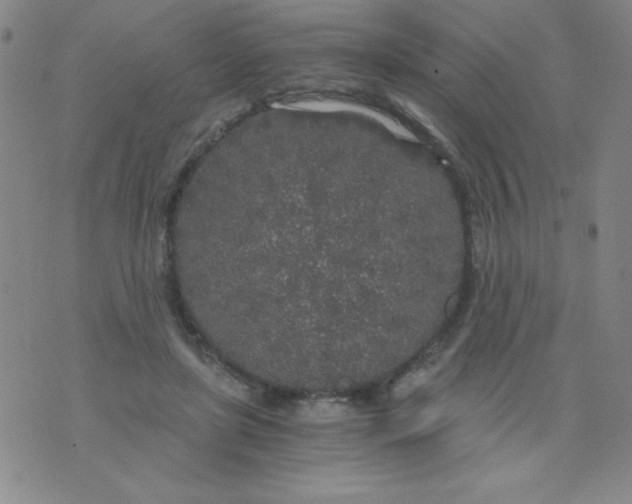 X0000075920451200610062212