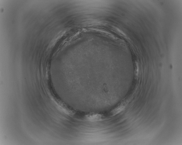 X0000075920452200610062212