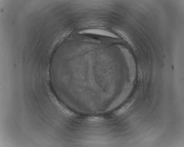 X0000075920453200610062212