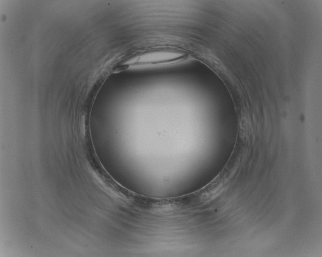 X0000075920454200610062212