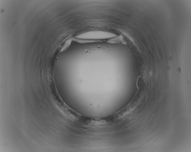 X0000075920455200610062212