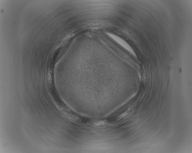 X0000075920456200610062212