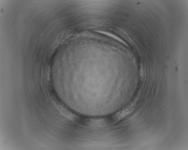 X0000075920458200610062212