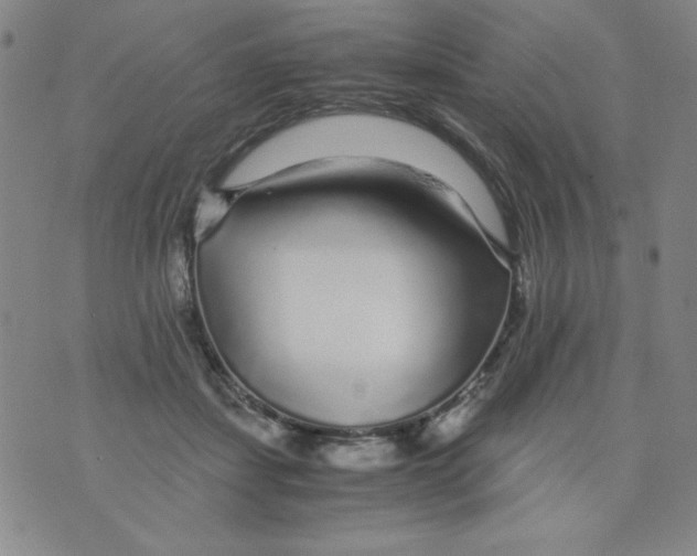 X0000075920459200610062212