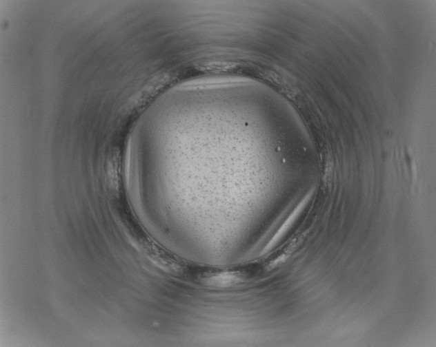 X0000075920460200610062212