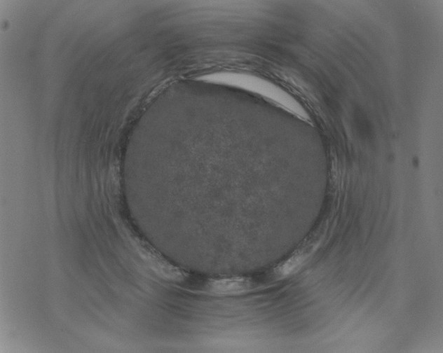 X0000075920461200610062212