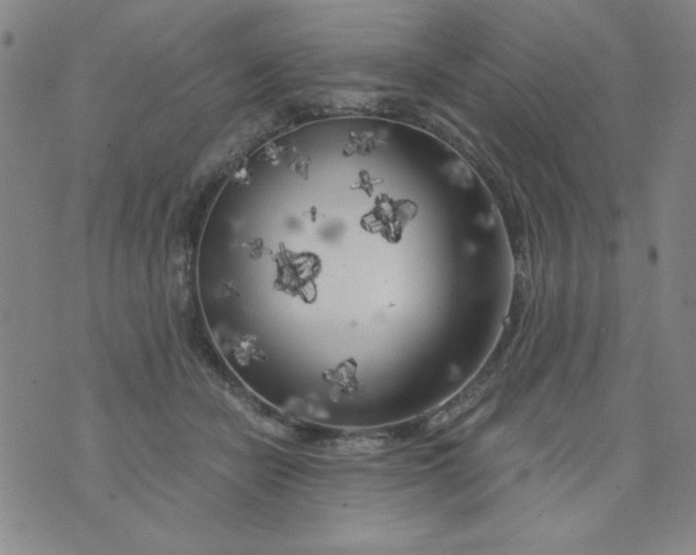 X0000075920462200610062212