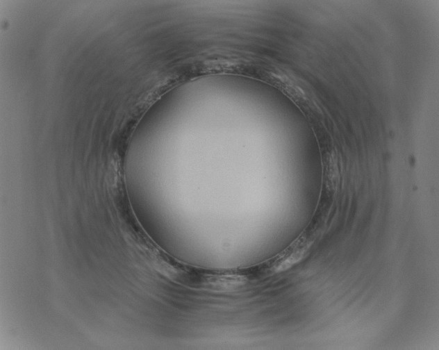 X0000075920463200610062212