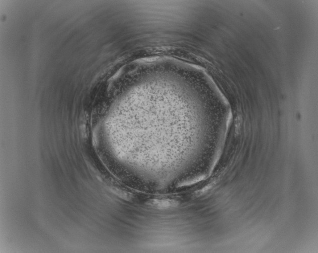 X0000075920464200610062212