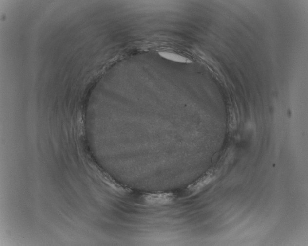 X0000075920465200610062212