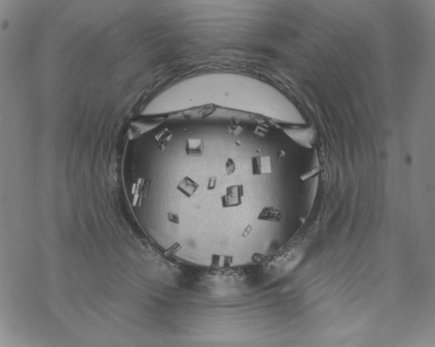 X0000075920466200610062212