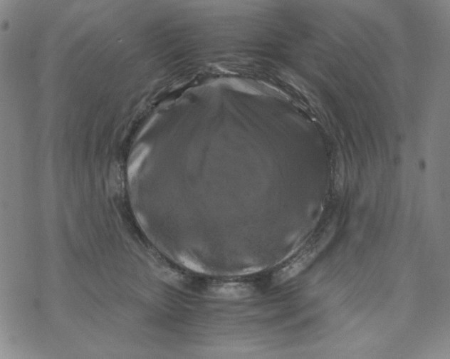 X0000075920467200610062212