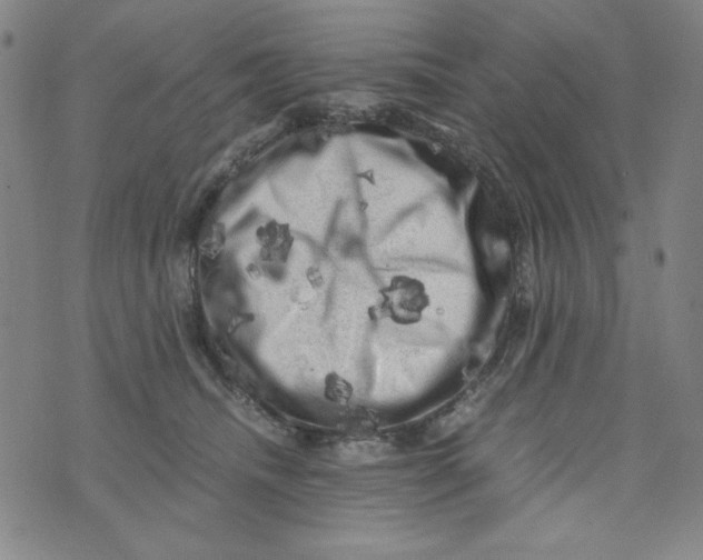 X0000075920468200610062212