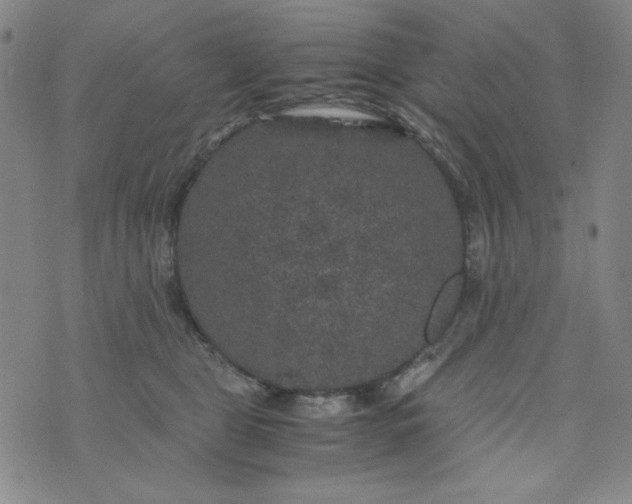 X0000075920469200610062212