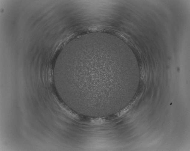 X0000075920470200610062212