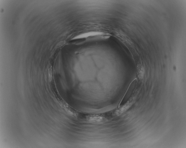 X0000075920471200610062212