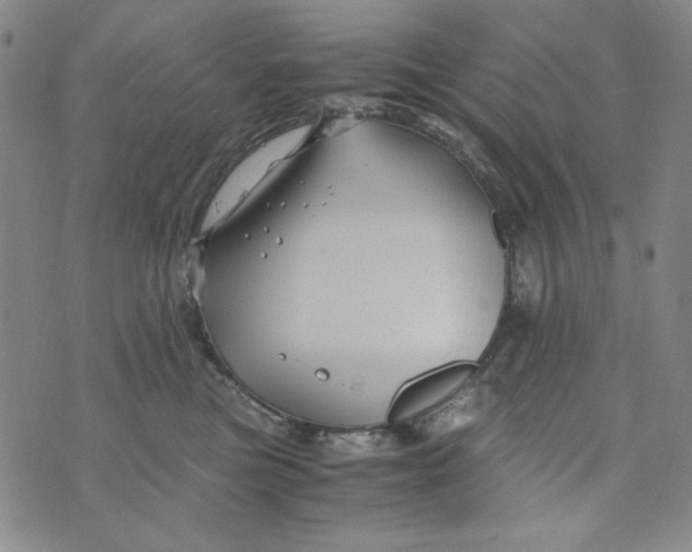 X0000075920473200610062212