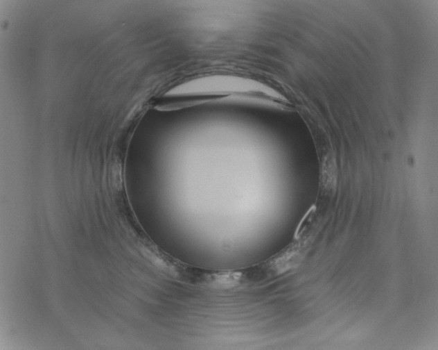 X0000075920474200610062212