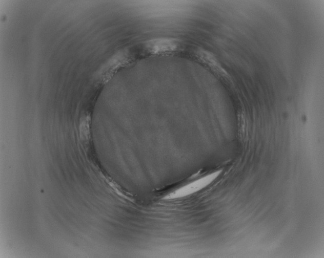 X0000075920475200610062212